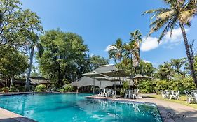 Sefapane Lodge And Safaris